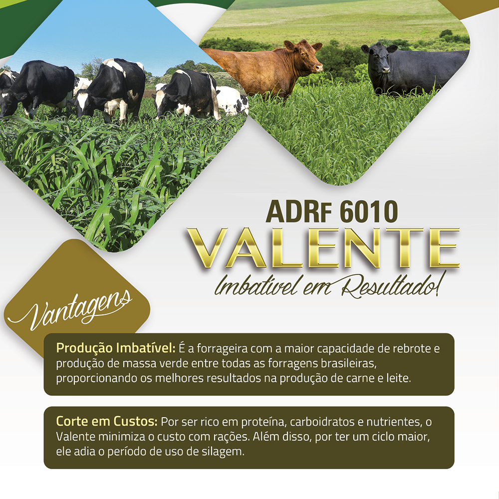 ADRF 6010 Valente 1 ADRF-6010-Valente