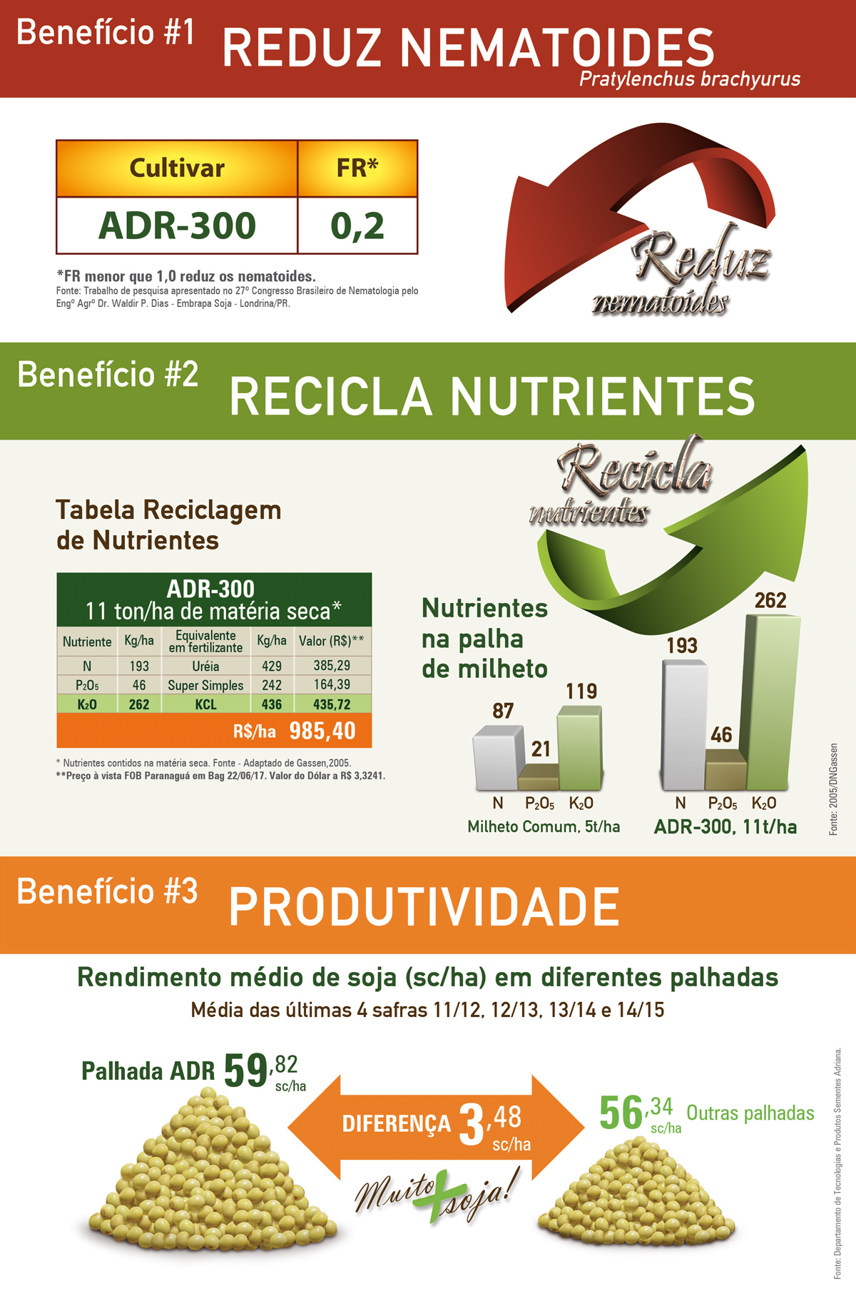 Beneficios ADR 300 Sul