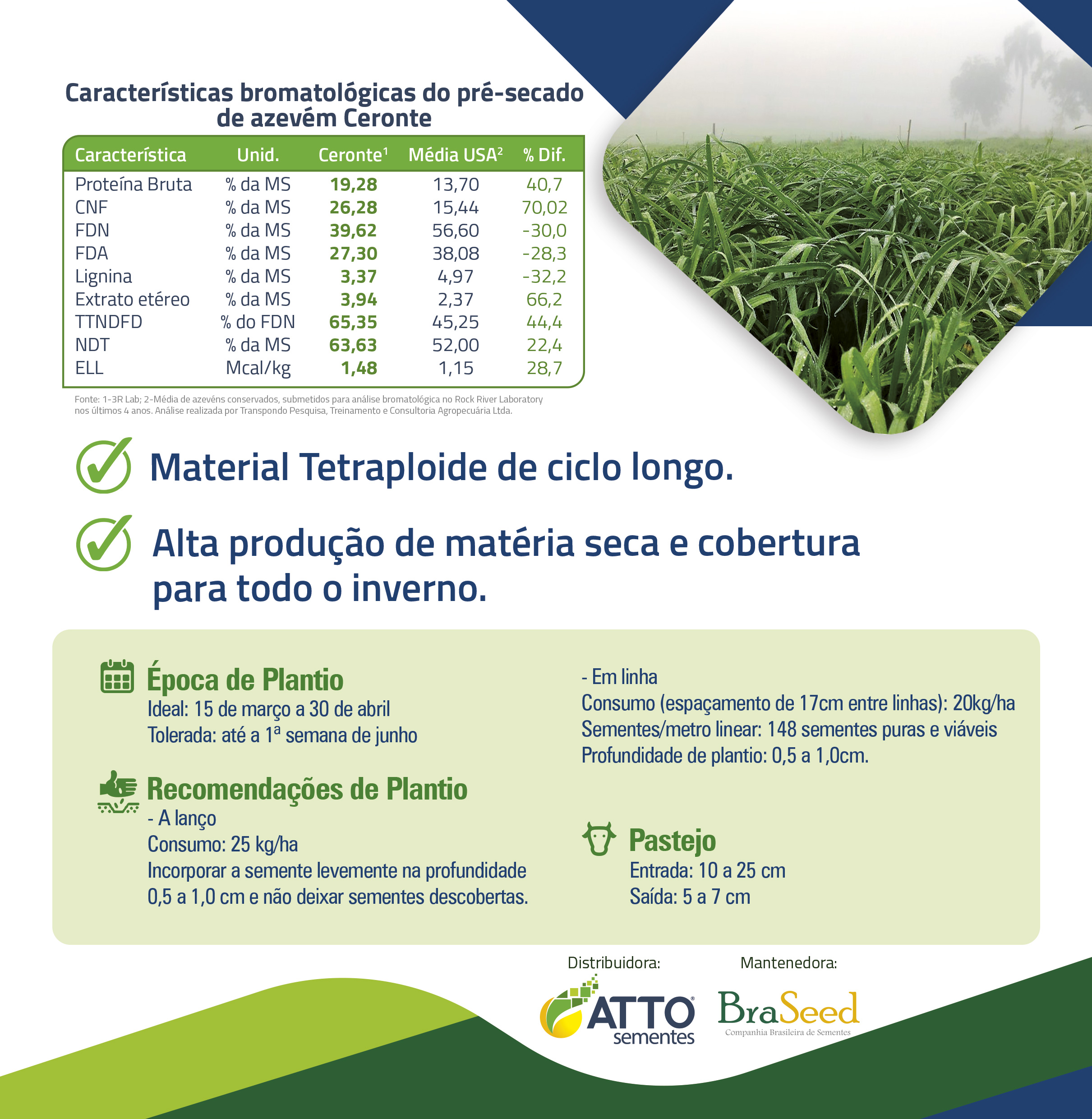 Azevém Ceronte 2 cerotene2