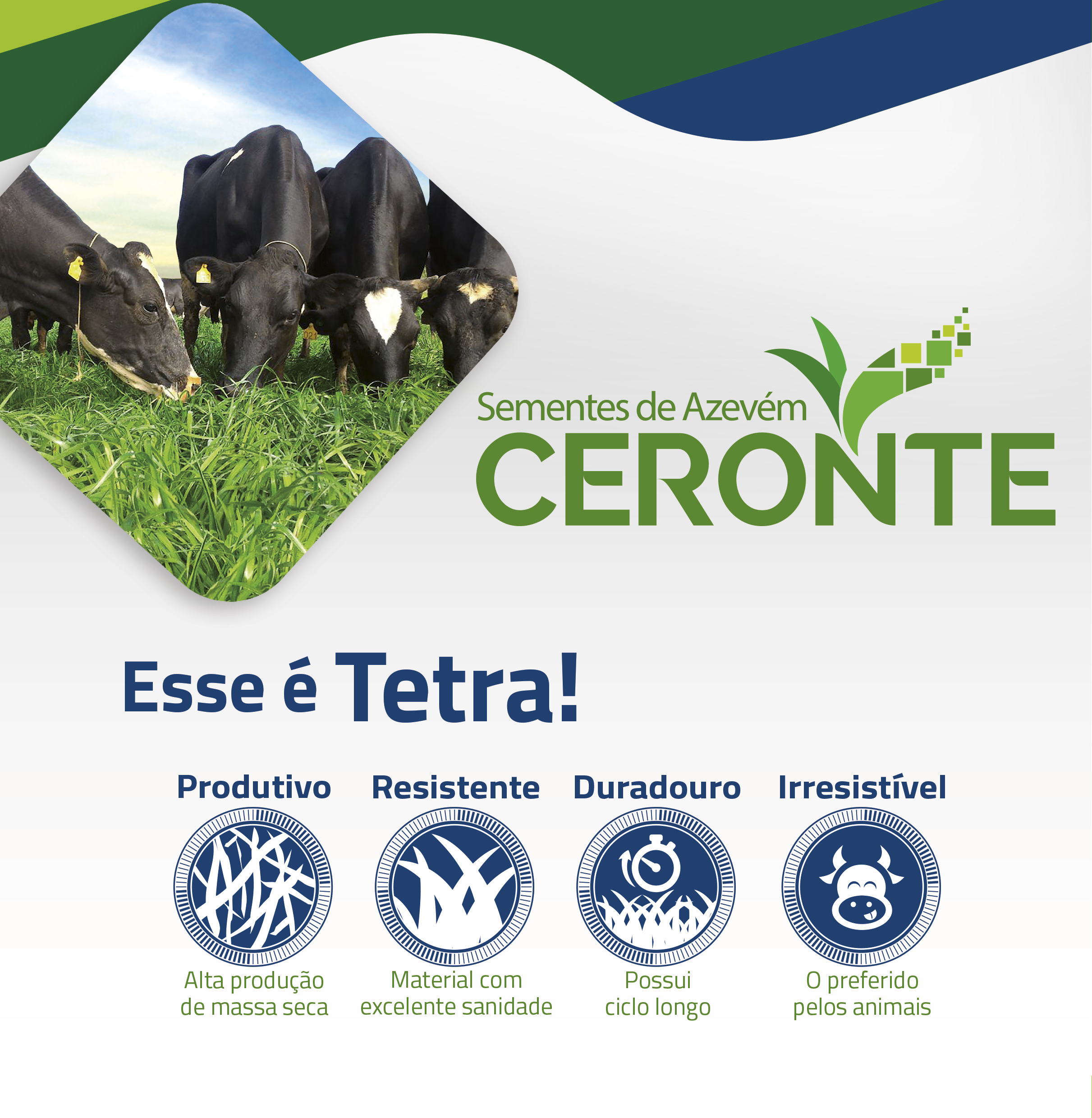 Azevém Ceronte 1 certotene1